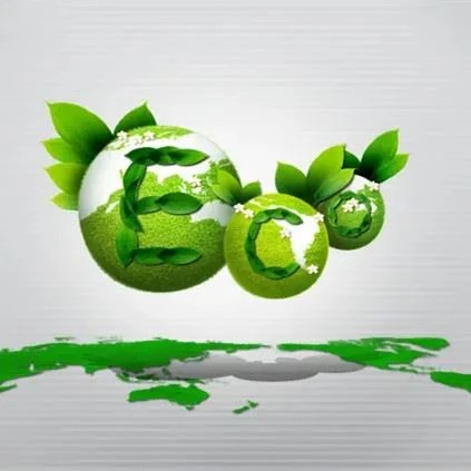 Có phải thuế túi nhựa hay cấm chất thải?  400  Thành phố và các quốc gia đã t...